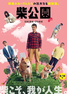 噼里啪啦高清免费观看