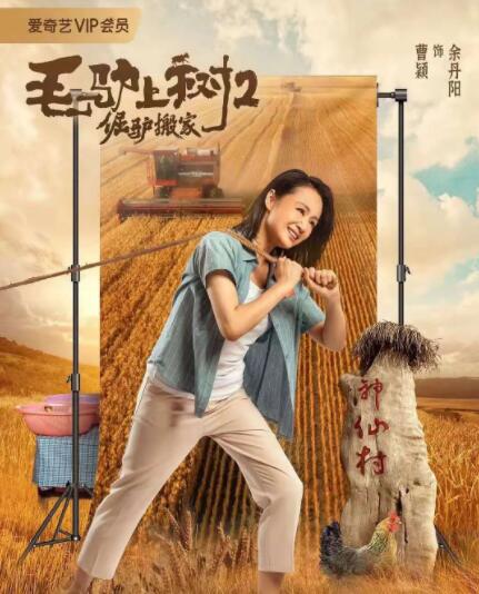 完美的妻子