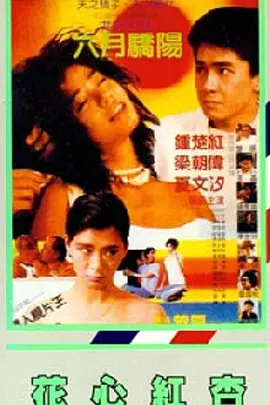 欧美综合国产