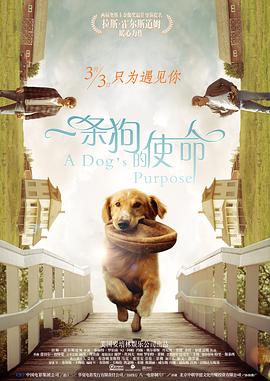 gogo高清免费