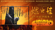国产精品视频在