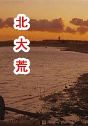 用力别停受不了了网站