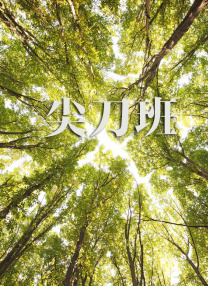情感的禁区+电影
