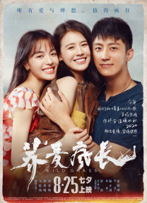丁香婷